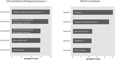 Revisiting the Relationship Between Alzheimer’s Disease and Cancer With a circRNA Perspective